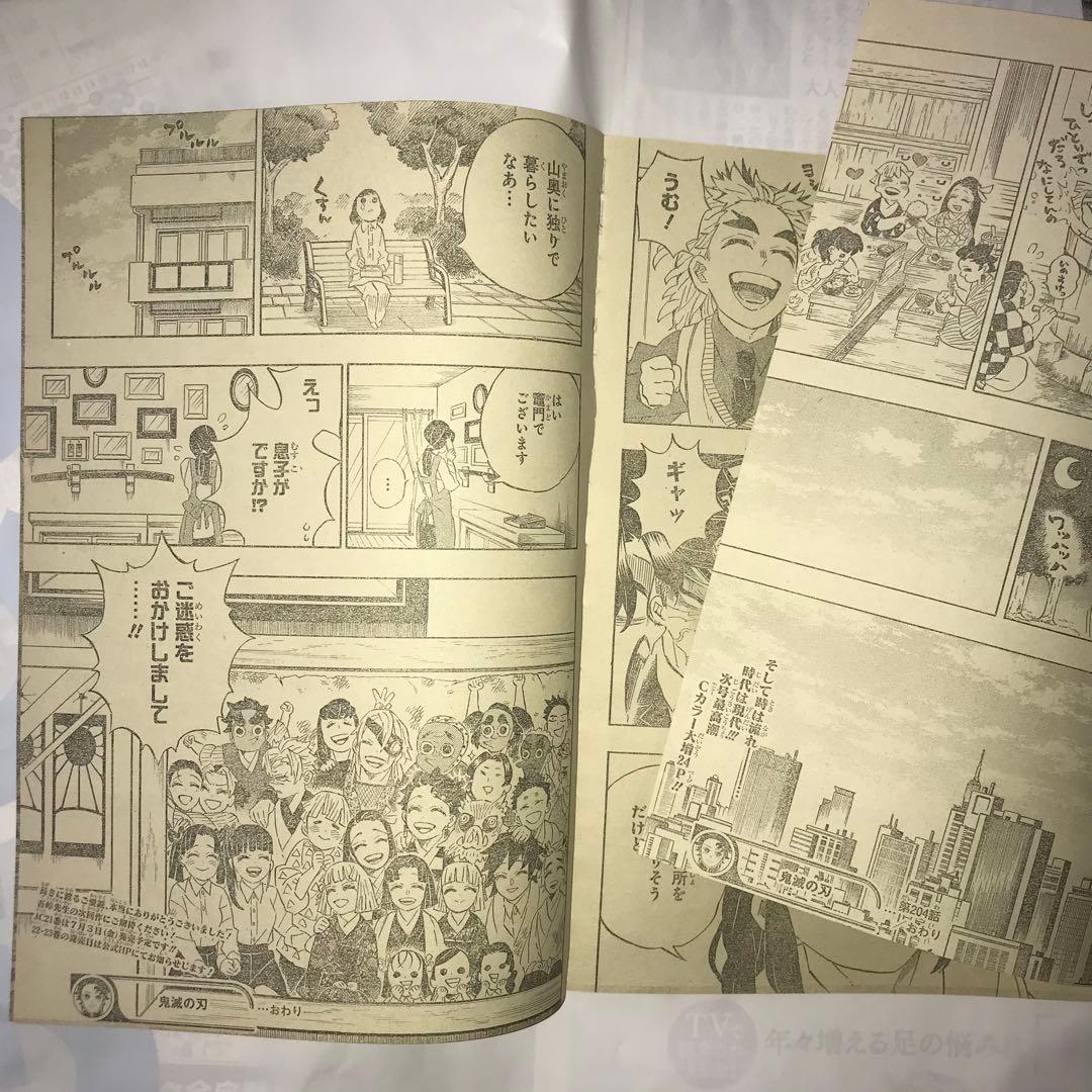鬼滅の刃 204 205