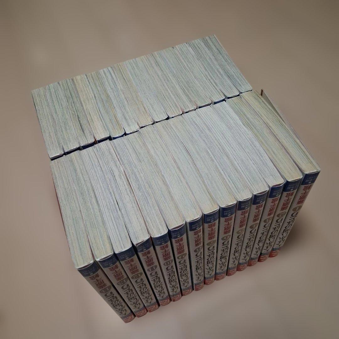 天は赤い河のほとり 全28巻セット