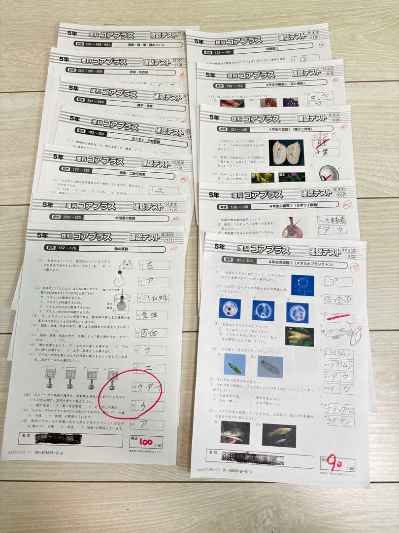 ⭐︎ サピックス　5年生理科　平常、春夏冬講習テキスト　一年分フルセット