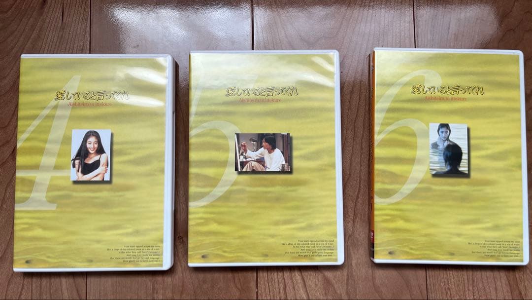 「愛してると言ってくれ」DVD6巻セット