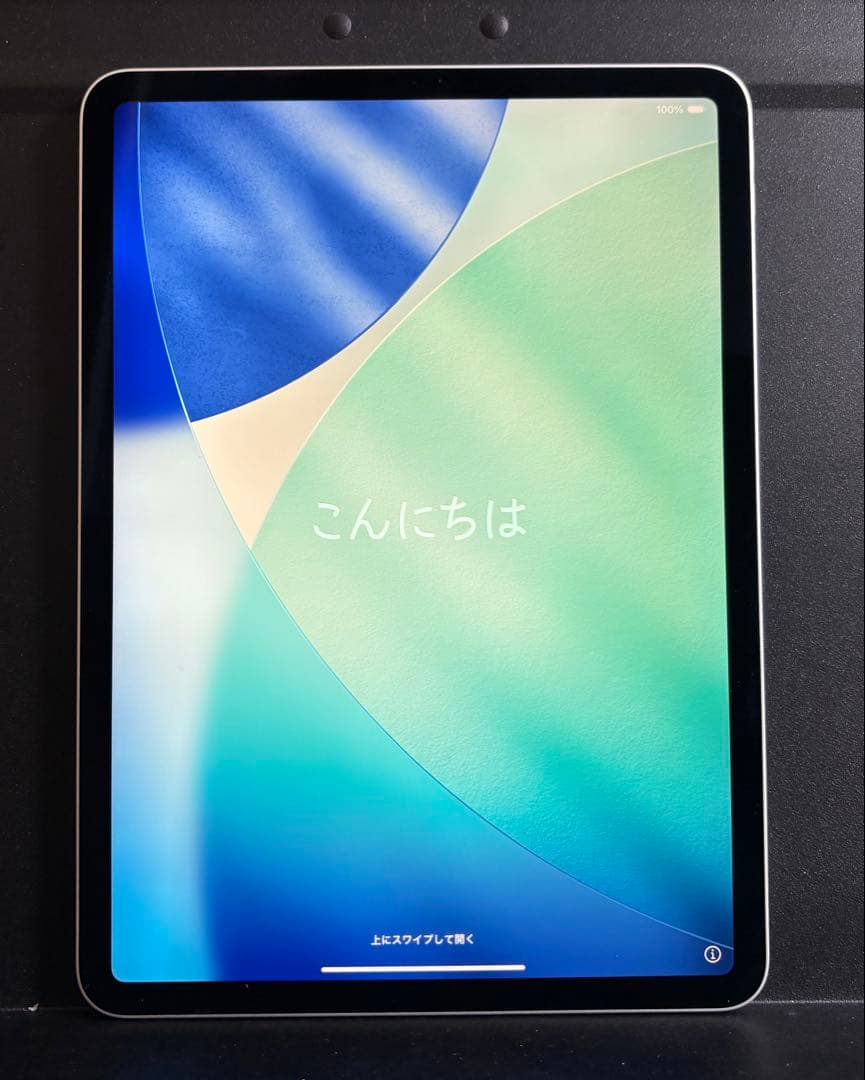 【ジャンク品】iPad Pro 11インチ 第2世代 128GB Wi-Fi