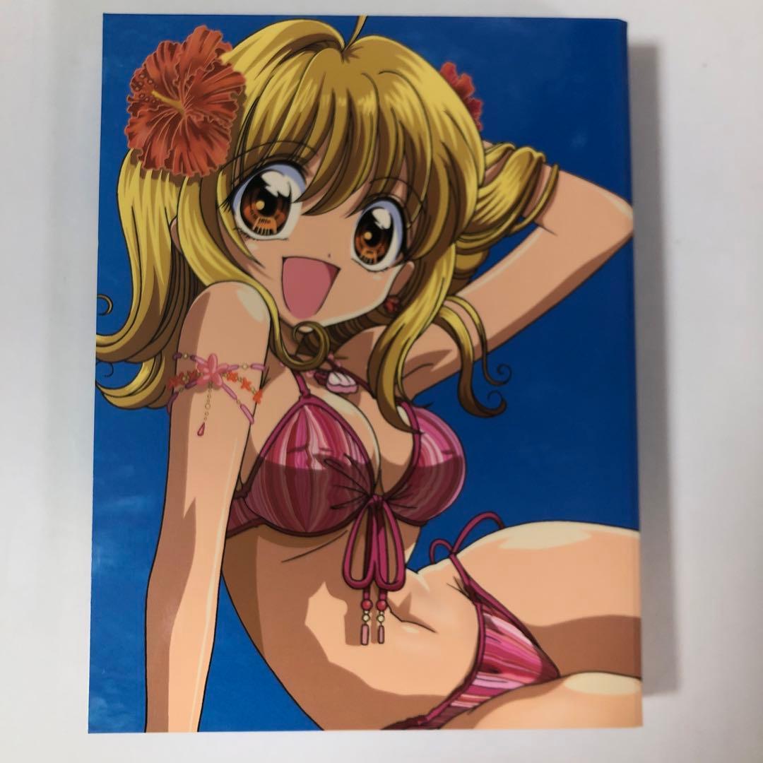 （初回限定版）ぴちぴちピッチ DVD-BOX1 ピュア 美品