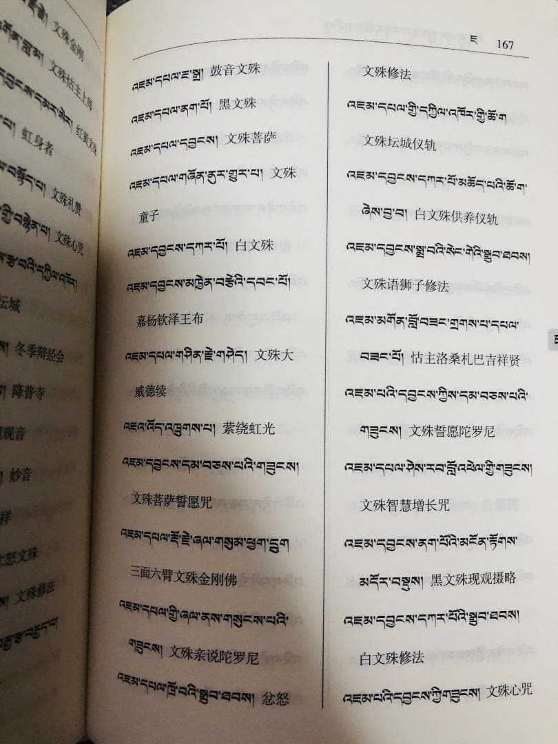 新品 レア 蔵漢対照佛学詞典 チベット語 中国語 仏教辞典 仏教用語 対照辞典