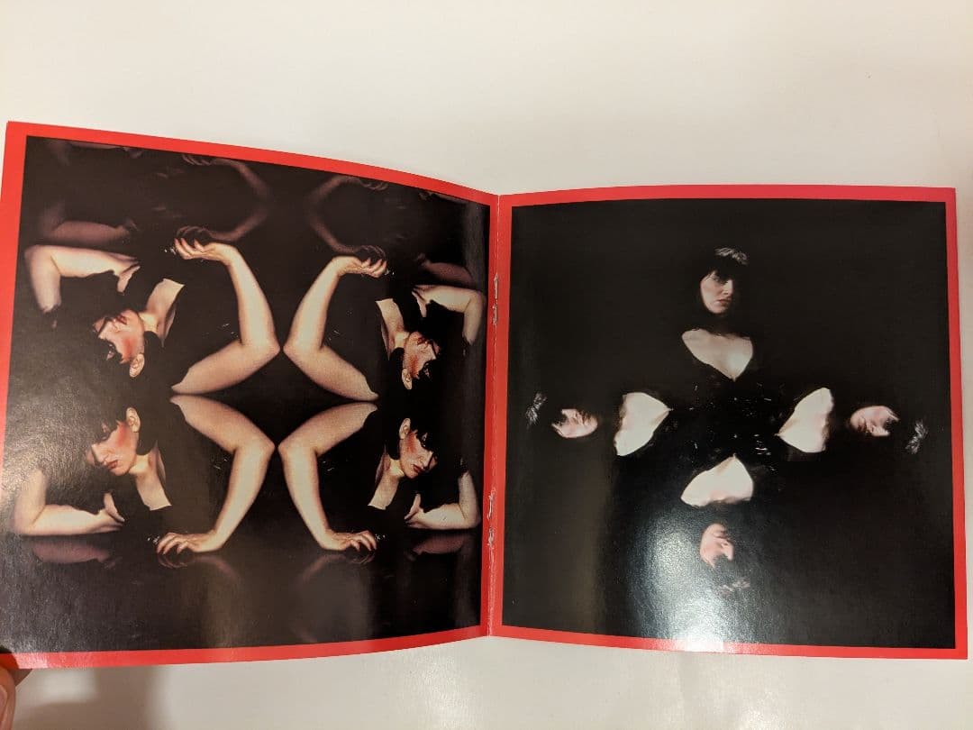 超希 歴史的レア盤 Lydia Lunch写真集/Video 巻上公一 ラリーズ