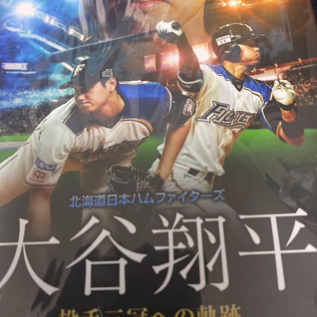 北海道日本ハムファイターズ 大谷翔平 投手三冠への軌跡〈2枚組〉　初回限定版