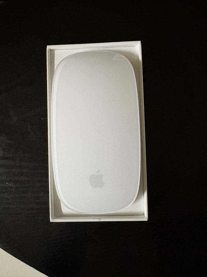Apple Magic Mouse 本体とケーブル付き