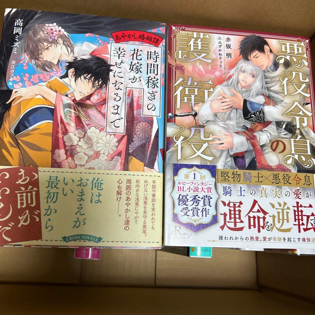 bl小説纏め売り
