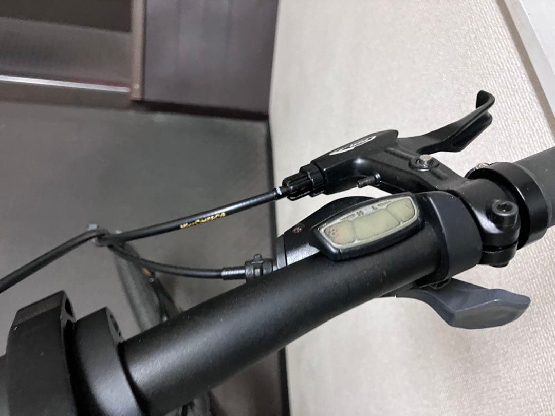 Hiroshi Ogushi 　DAHON mu 8速　自家塗装