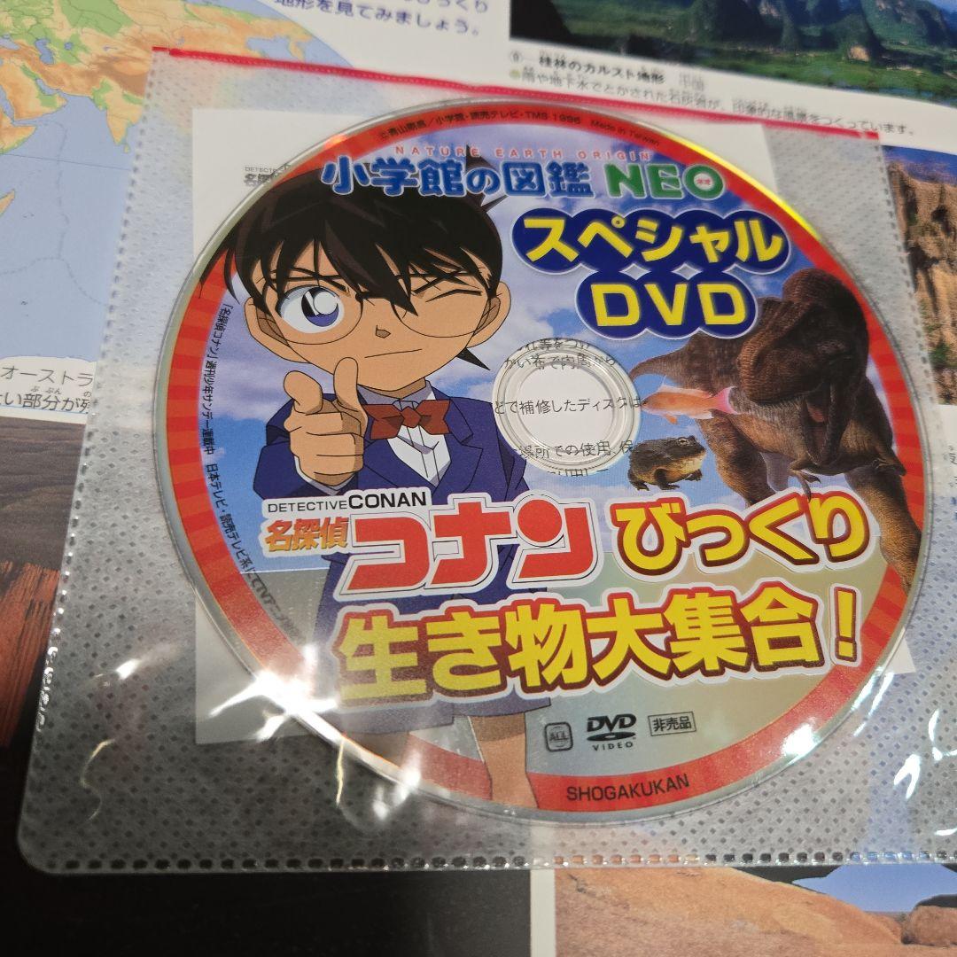 小学館の図鑑NEO 10冊セット