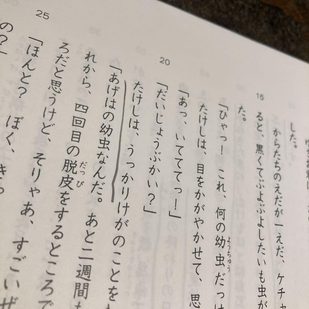 超希少【グノーブル】3年国語 　物語文・詩　全46冊セット　難関~最難関