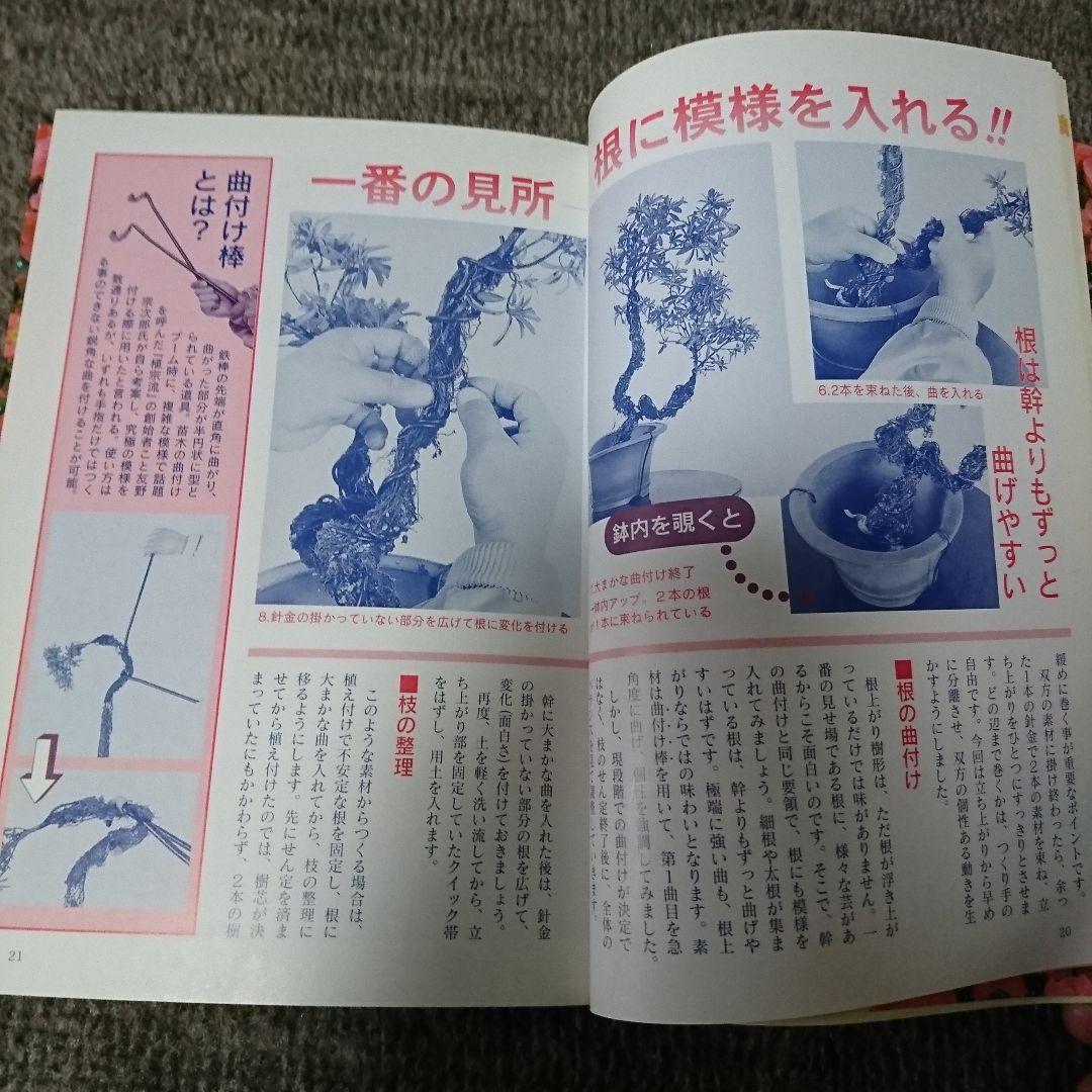 サツキ 樹形別のつくり方 第4巻 レア 盆栽