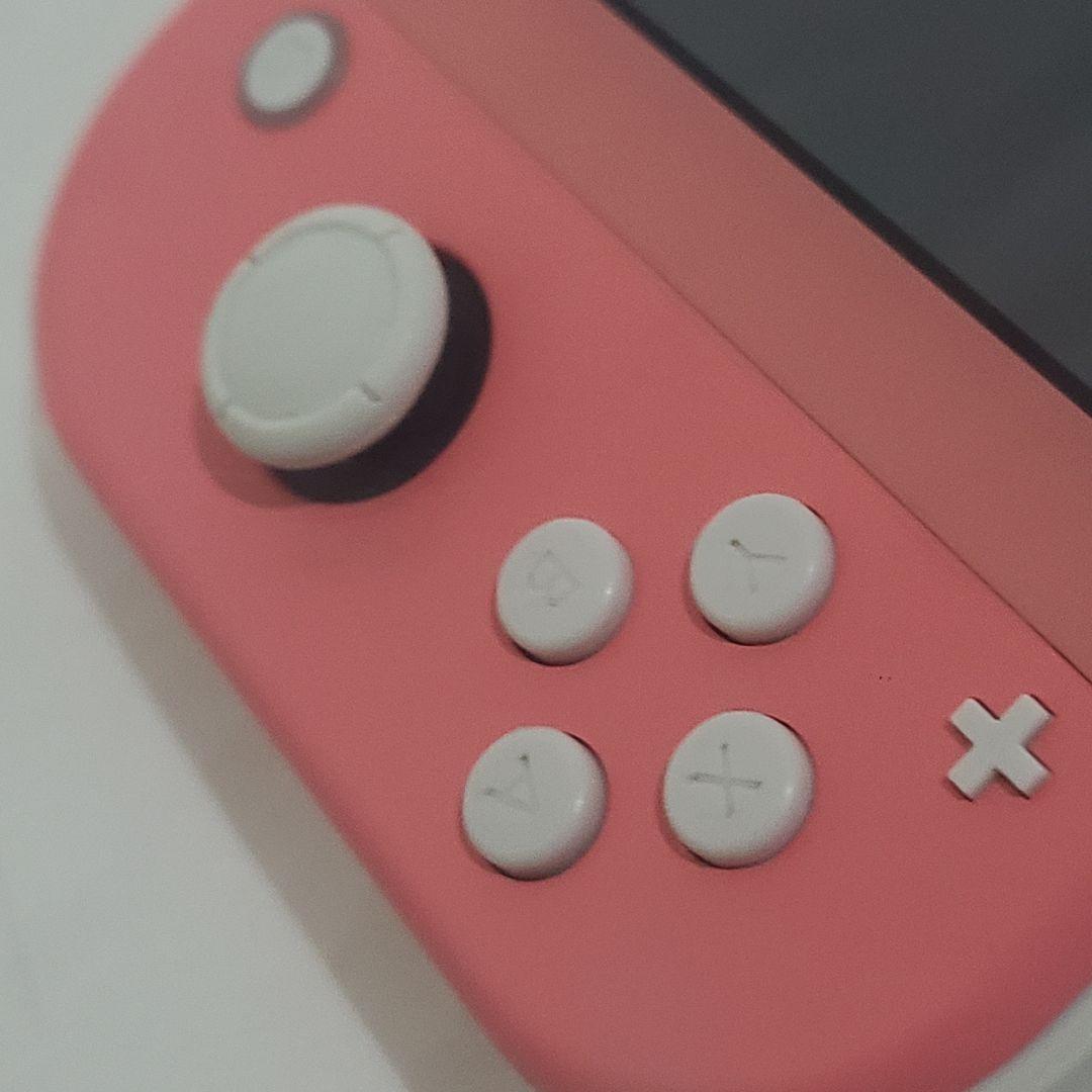 スイッチ　ライト　本体