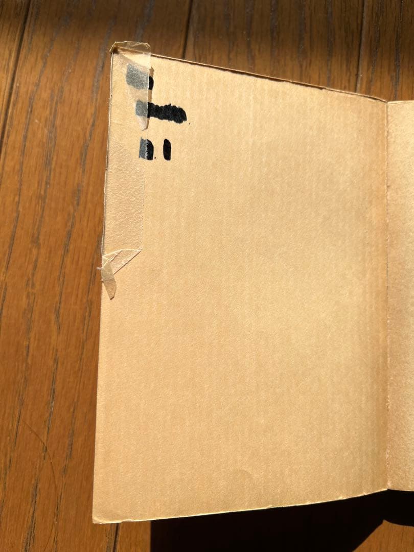 かなかなむしは天の虫　金子成人