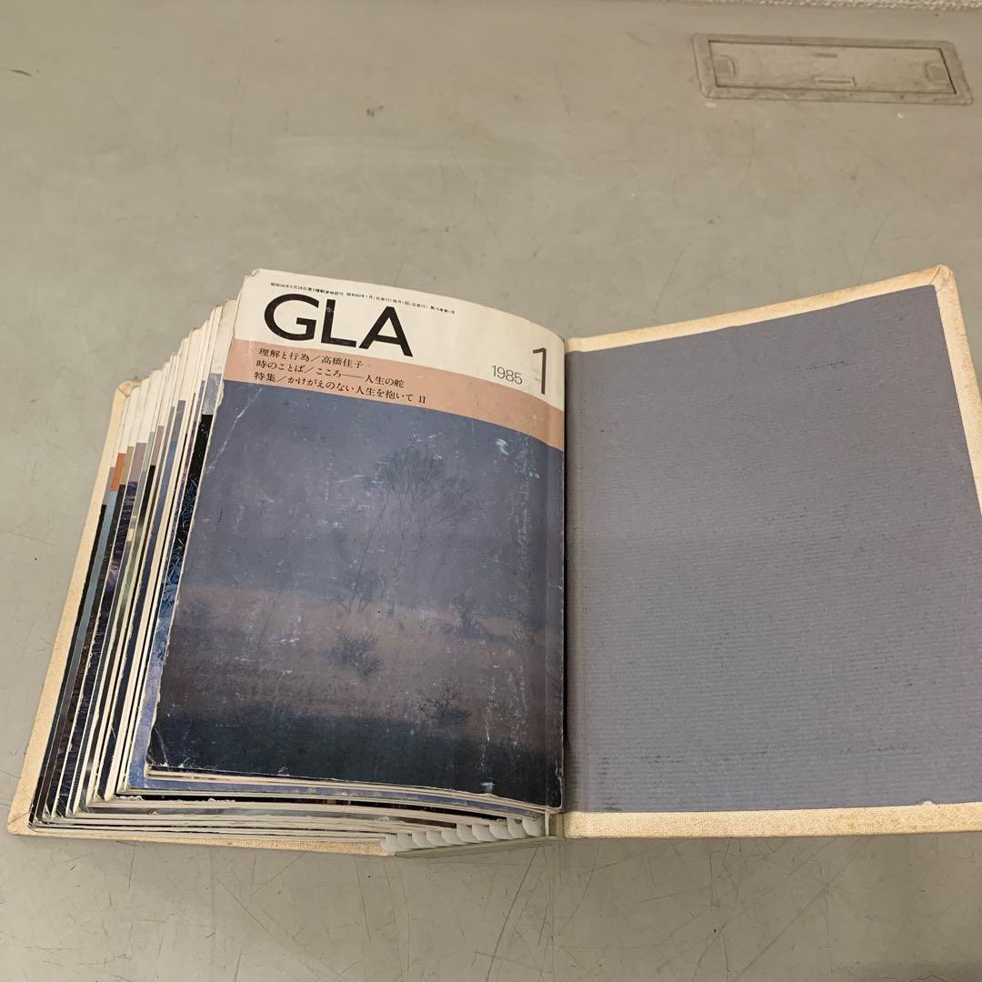 a.42 GLA雑誌 1985年1月-12月 1年分全12冊揃セット