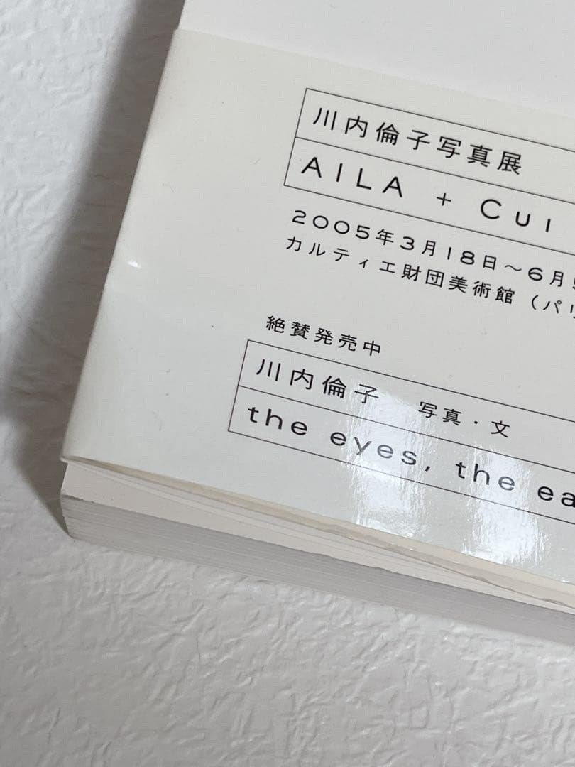 Cui Cui 川内倫子