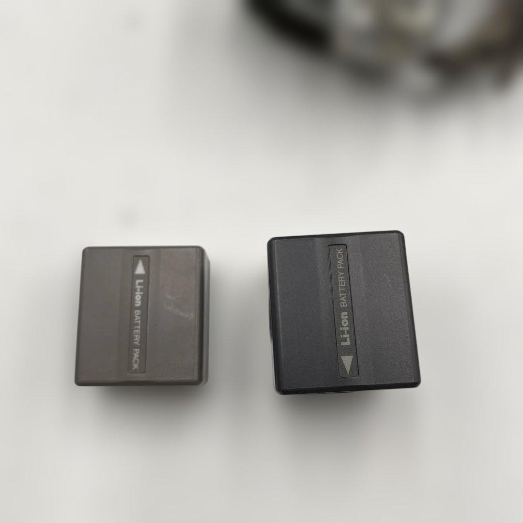 Panasonic NV-GS250 ビデオカメラ MiniDV