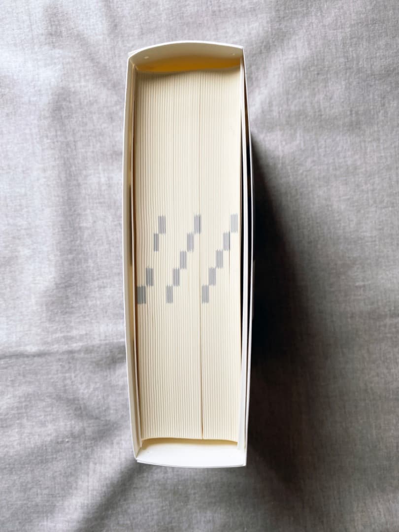 新書源 二玄社 極美品