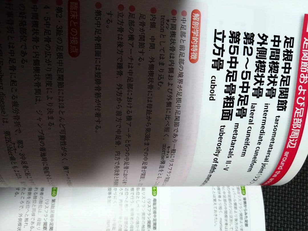 触診技術　理学療法　作業療法　qb　PT OT 国家試験　実習　新人　リハ即配送
