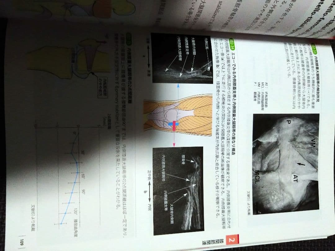 触診技術　理学療法　作業療法　qb　PT OT 国家試験　実習　新人　リハ即配送
