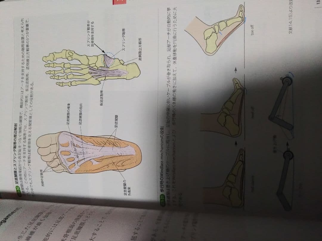 触診技術　理学療法　作業療法　qb　PT OT 国家試験　実習　新人　リハ即配送