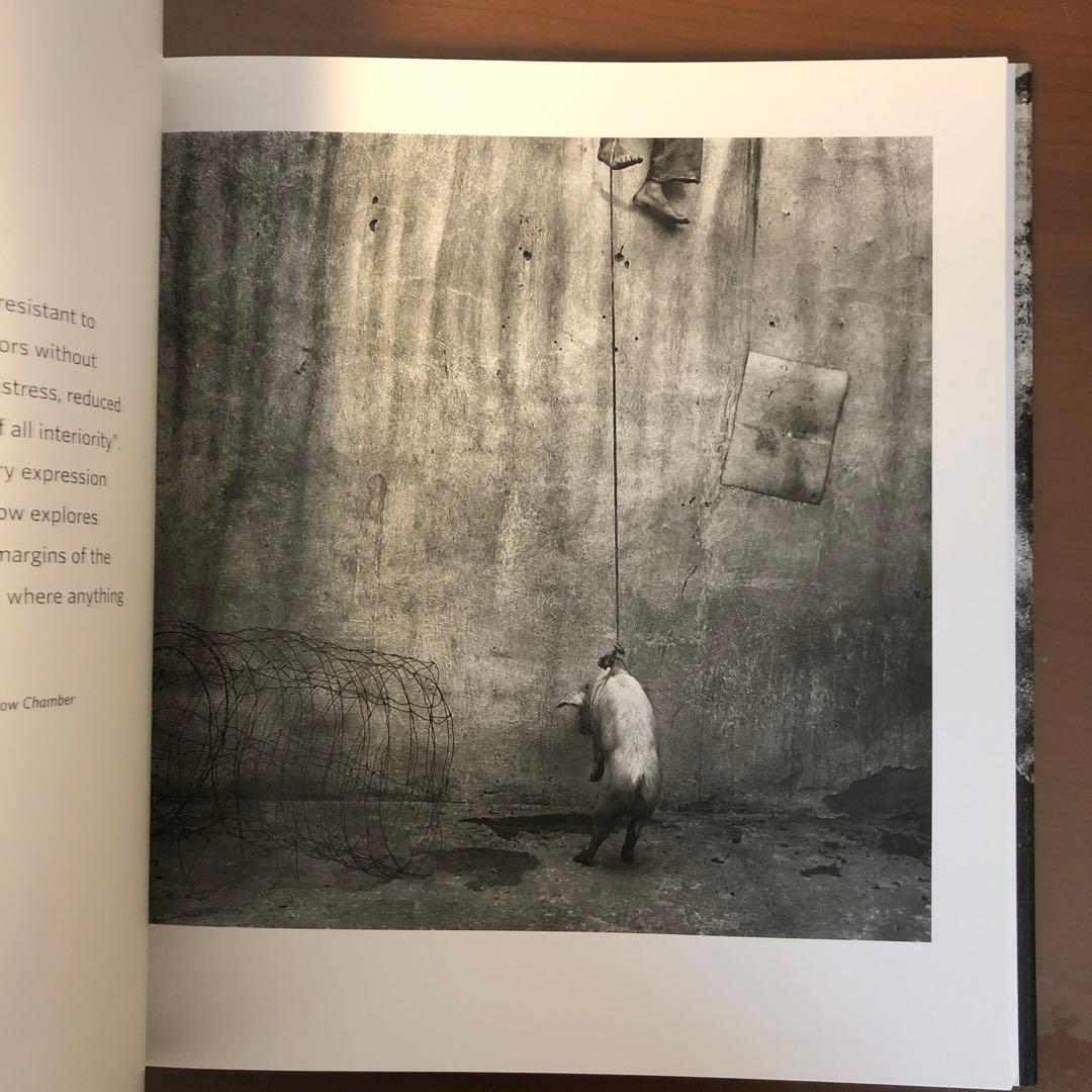 洋書 BALLENESQUE: Roger Ballen: Retrospective