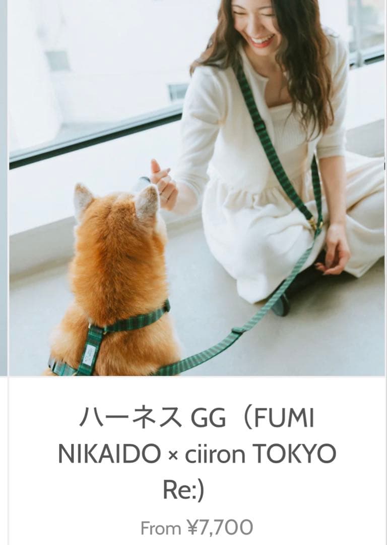 【新品未使用】ciiron TOKYO ハーネス、リード、ショルダーリードセット