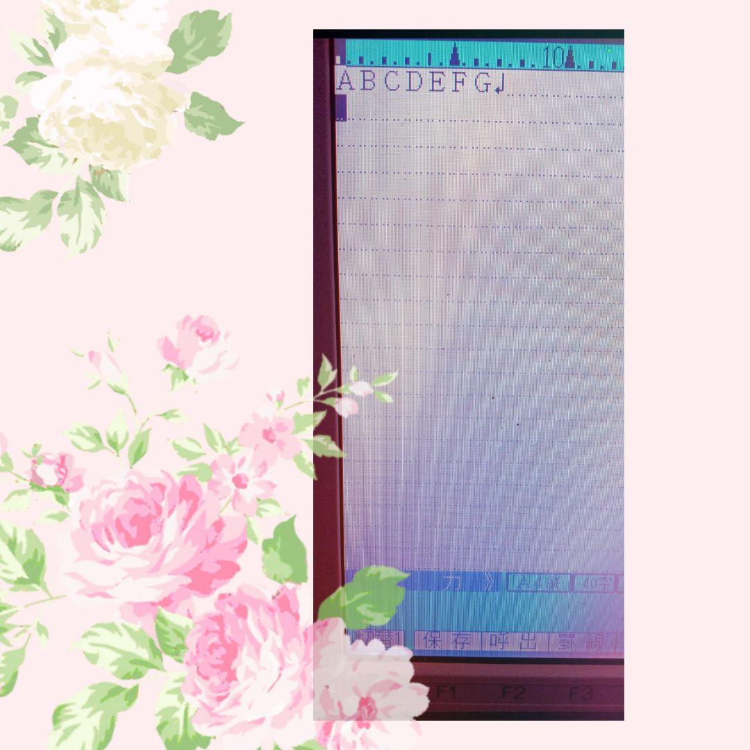 ワープロ書院✧*。