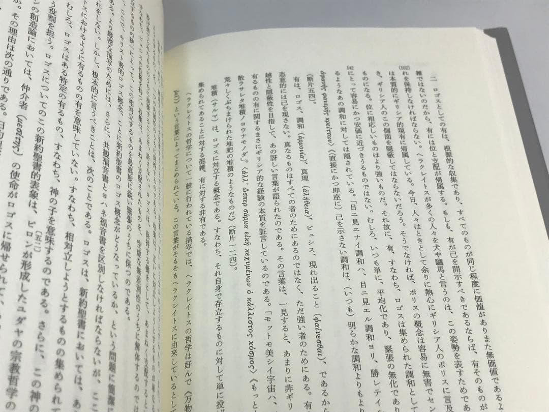 ハイデッガー全集 40 形而上学入門