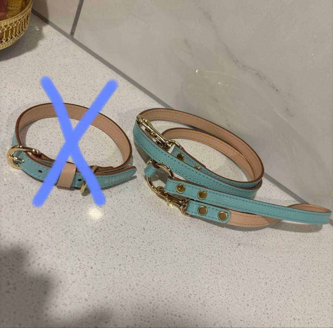 新品 BIRDIE ボニーリードS 本革 ブルー