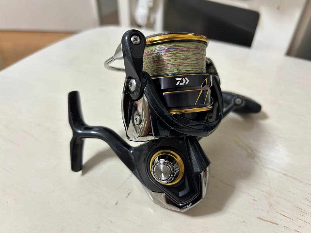 ひ*ろ様 Daiwa 21 カルディアLT4000-cxh
