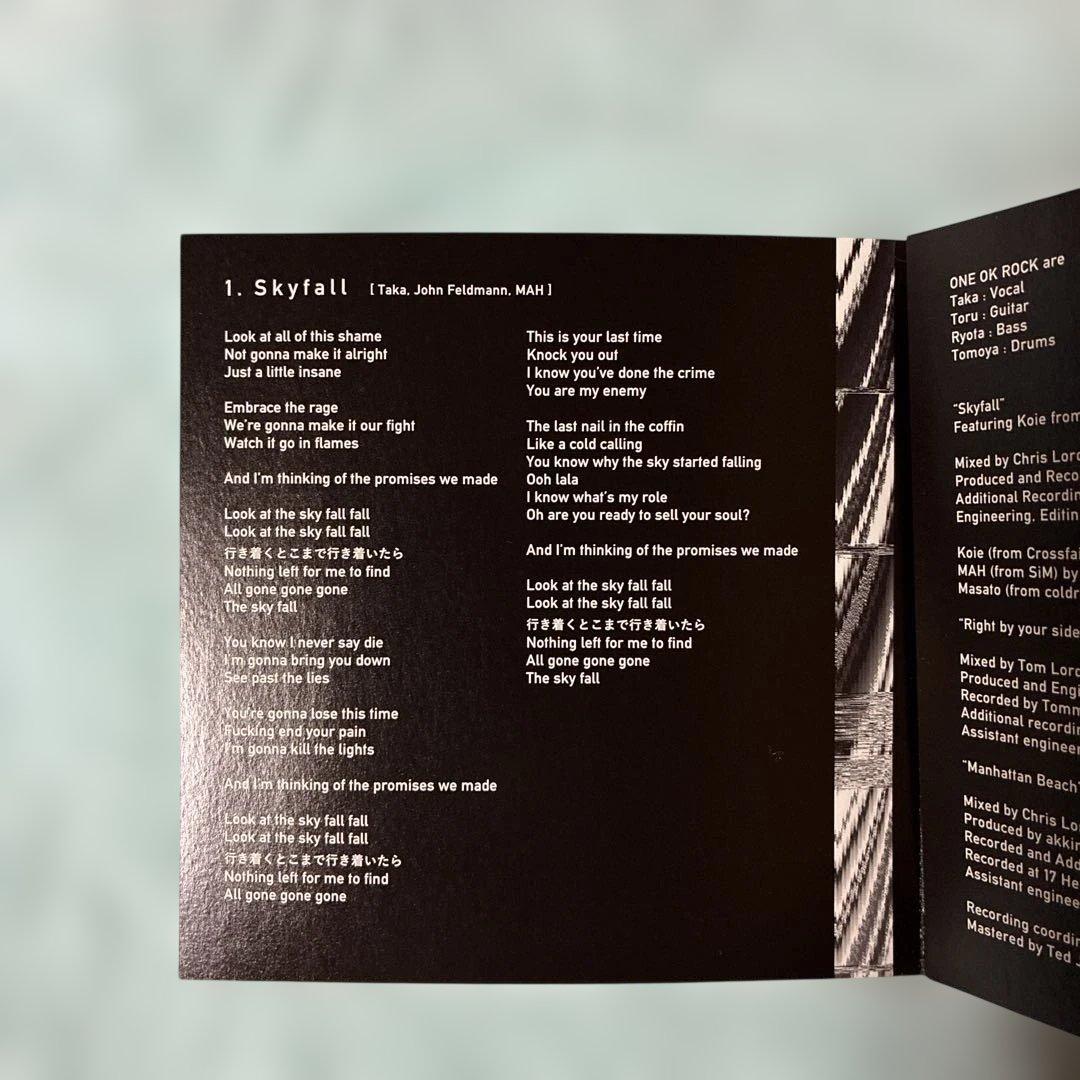 ONE OK ROCK/Skyfall/激レア盤CD