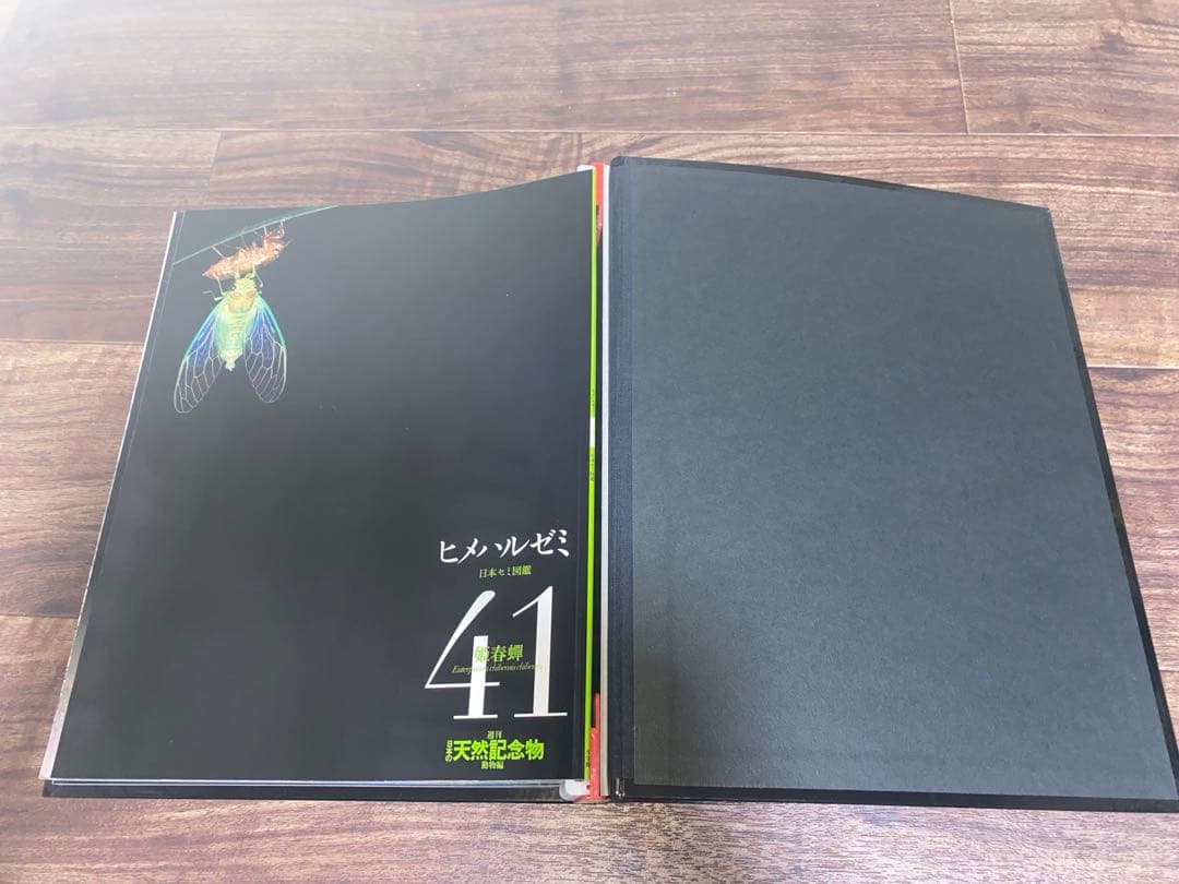 週刊 日本の天然記念物 動物編 全50巻＋フィギュア