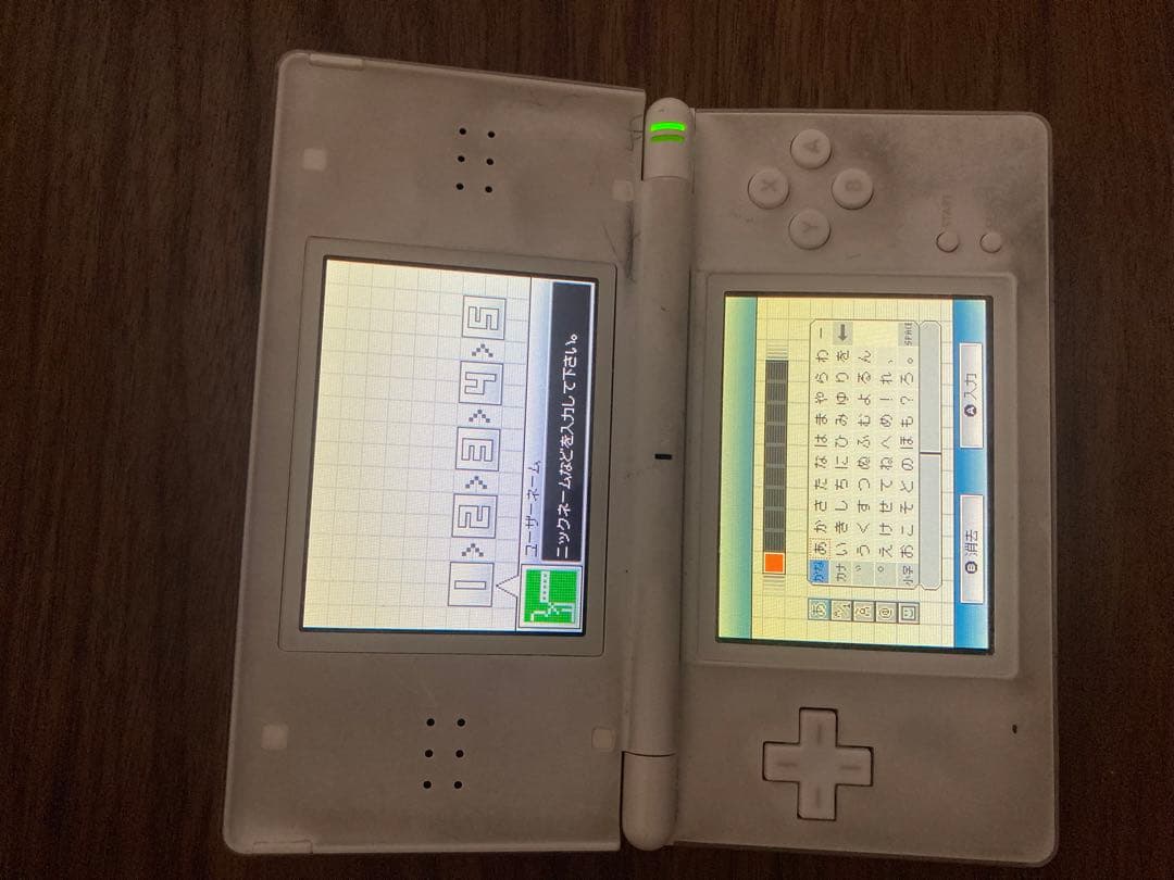 DS本体