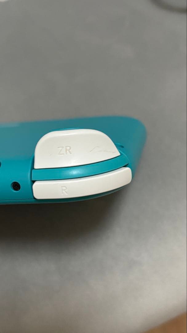 Switch light 本体 充電器付き