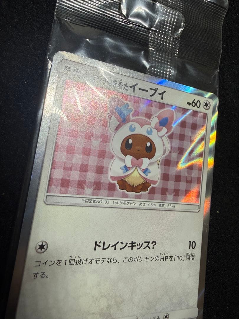 ポンチョを着たイーブイ ニンフィア