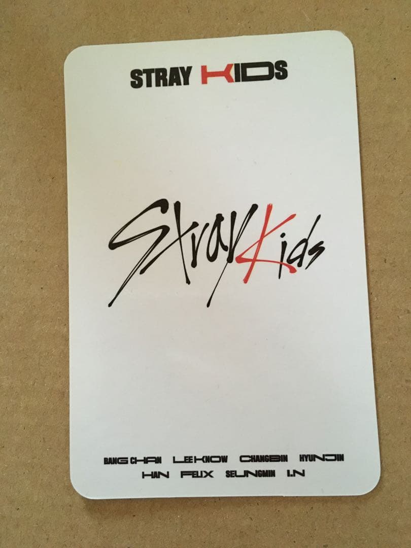 StrayKids スキズ GO生 中華 中国 予約 ヒョンジン