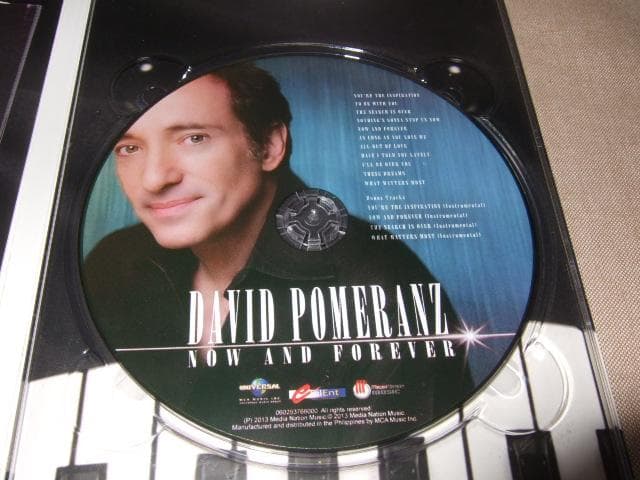 洋楽 DAVID POMERANZ,AOR,DAVID FOSTER,TOTO