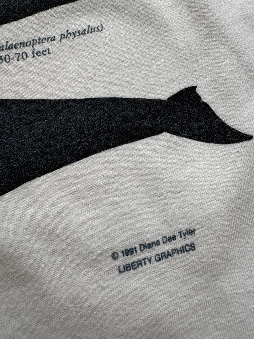 Daina Dee Tyler LIBERITY GRAPHICS 1991年製