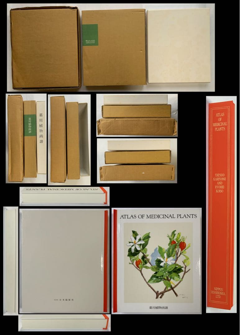 『薬用植物画譜』小磯良平文化勲章受賞記念　武田薬報表紙絵150点　刈米達夫　大型
