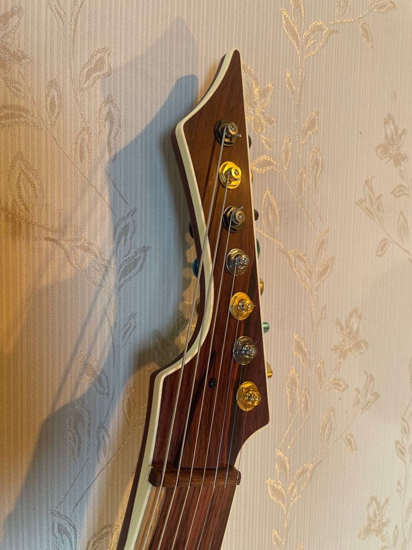 ギター blackmachine b7 clone
