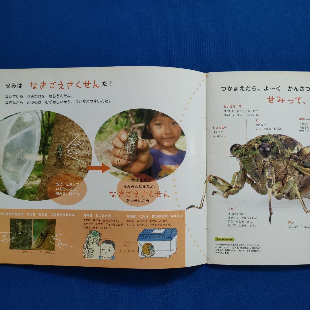 かがくのとも　ビッグサイエンス　キンダーブックしぜん　夏の虫とり大作戦
