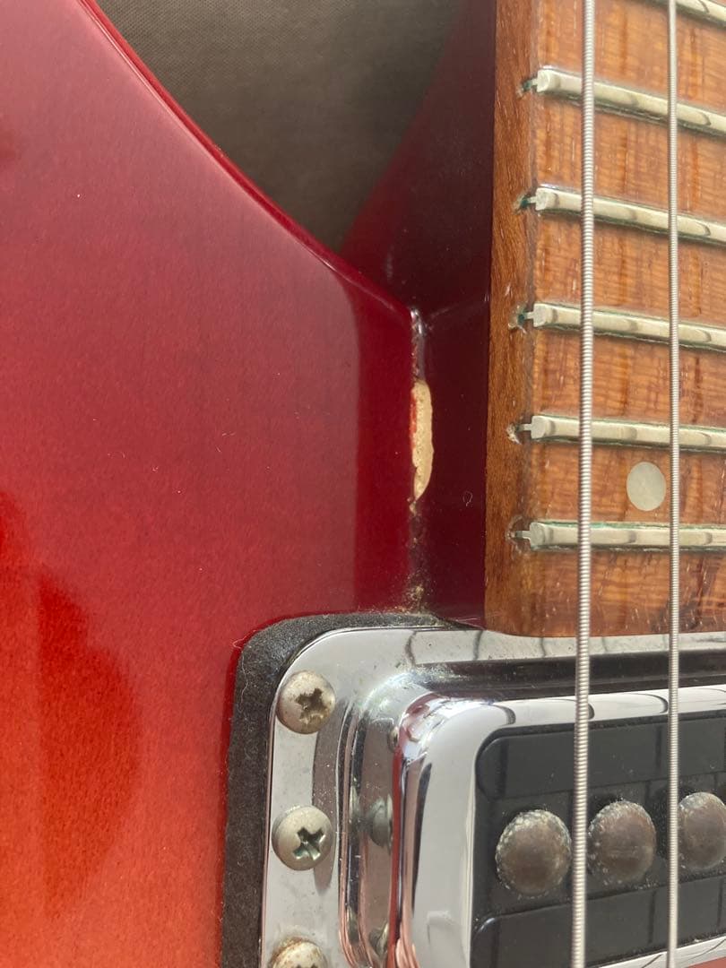 Rickenbacker 330 fg 97年製 メンテナンス済