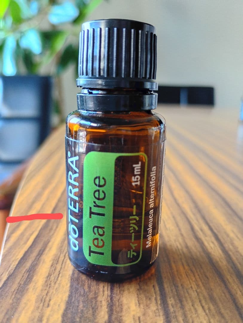 doTERRA エッセンシャルオイルセット 6本（中古品）