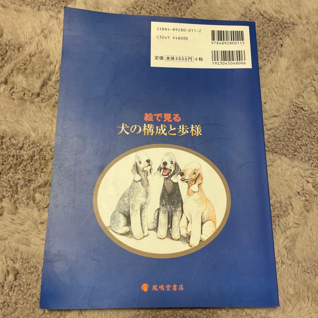 週末限定値下げ絵で見る犬の構成と歩様