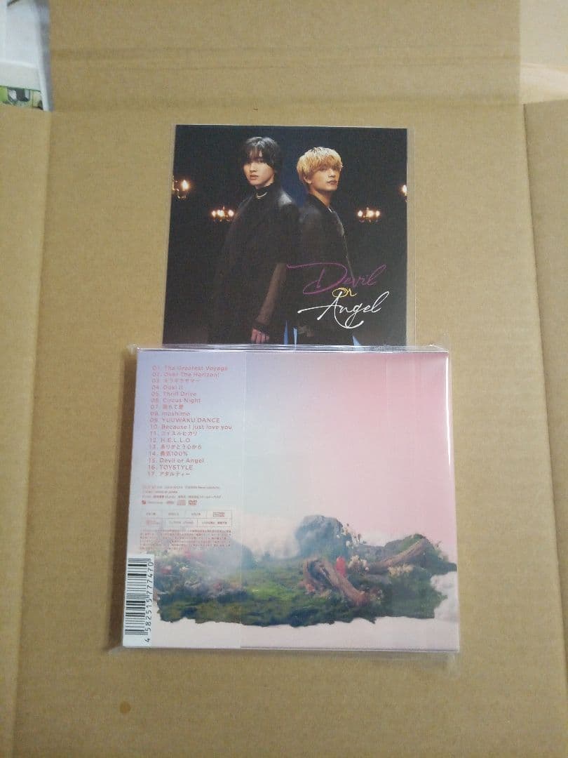 BON BON VOYAGE初回限定盤2DVD付先着特典ユニジャケ付