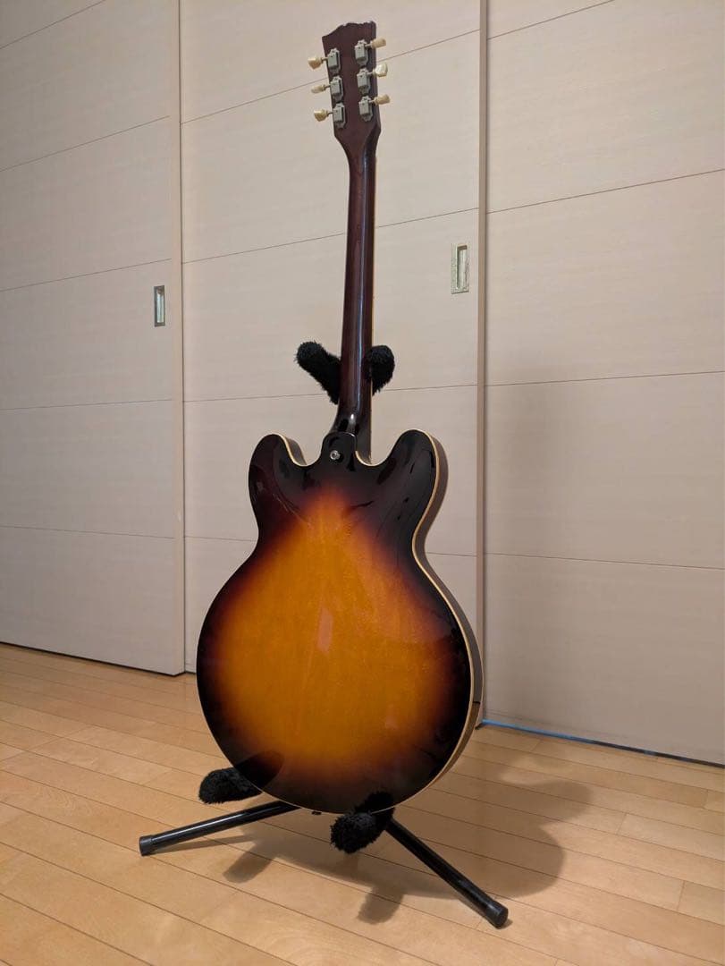 ギター Burny RSA-100 Semi-hollow body guitar
