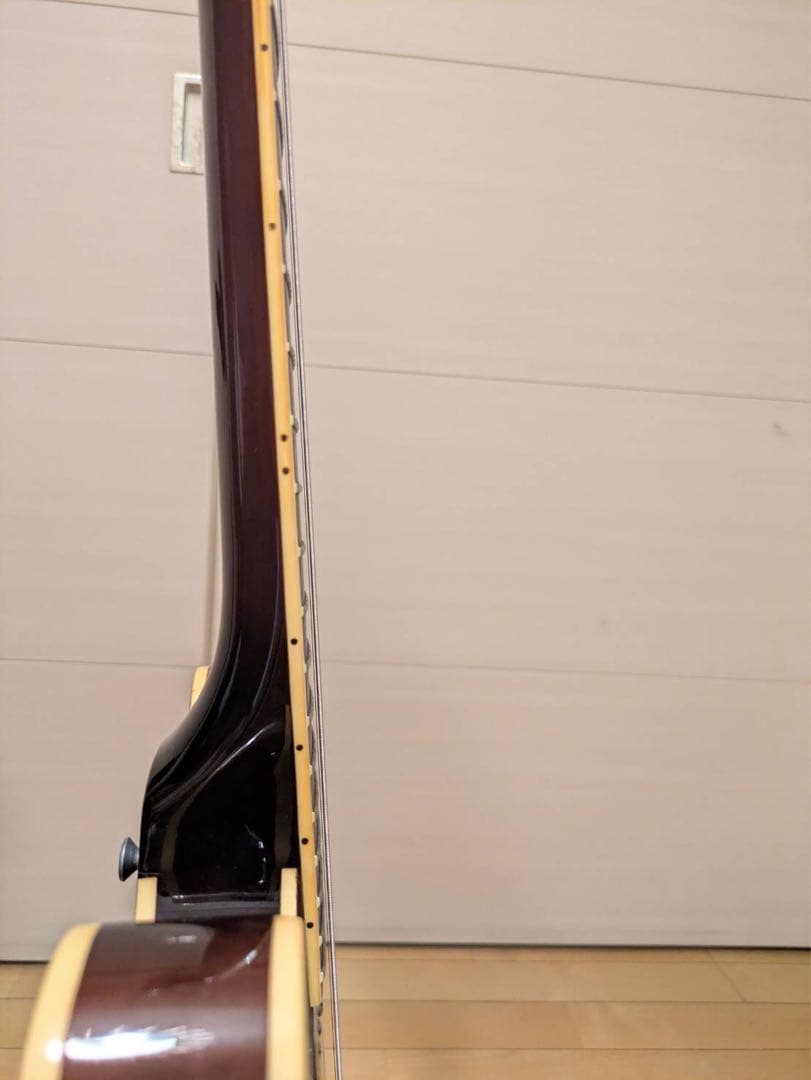 ギター Burny RSA-100 Semi-hollow body guitar