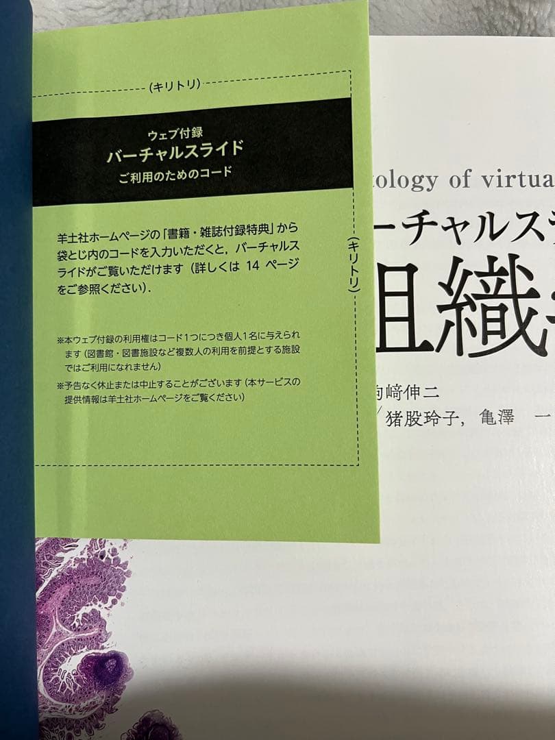 バーチャルスライド組織学