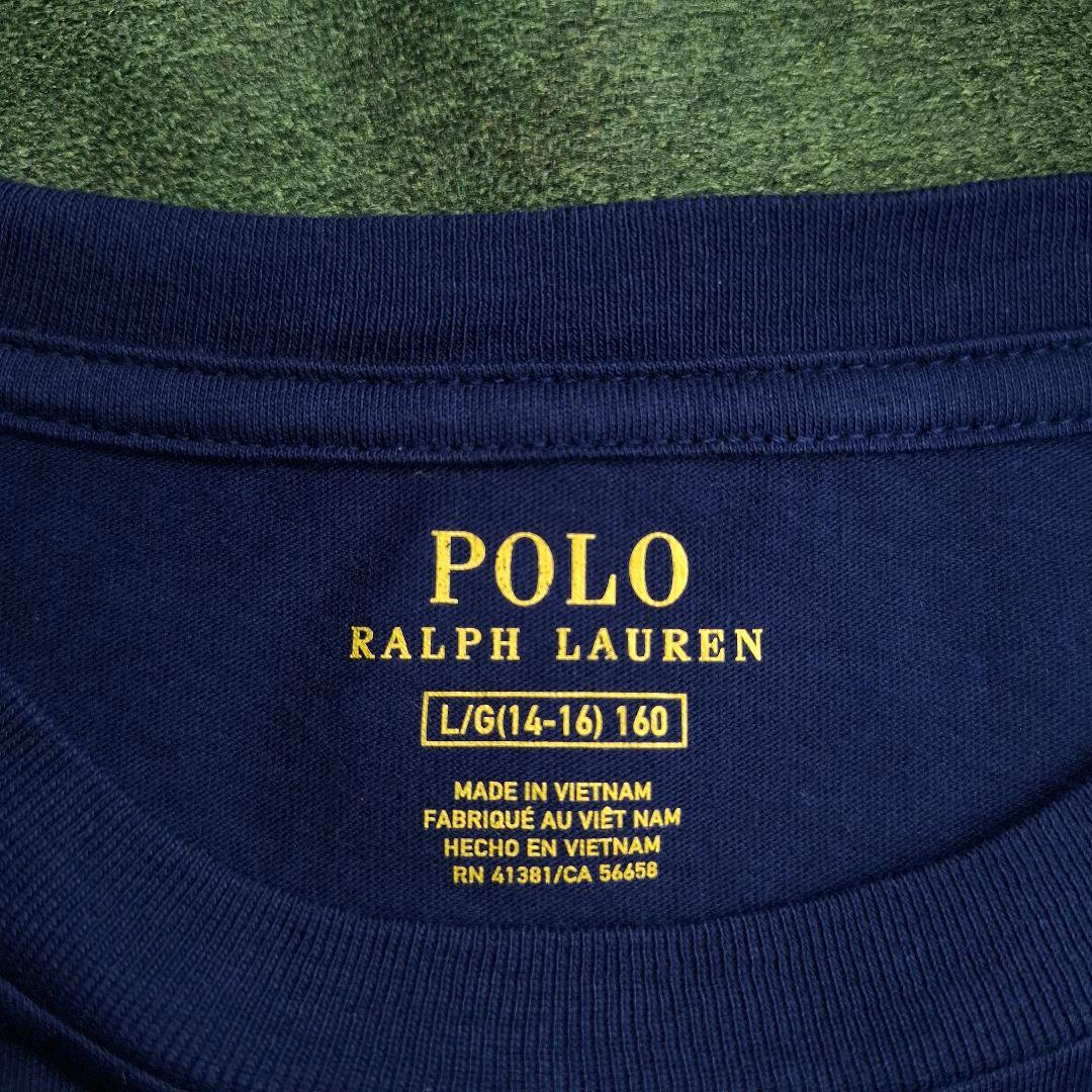 【人気】POLO RALPH LAUREN ポロベア Tシャツ ネイビー L