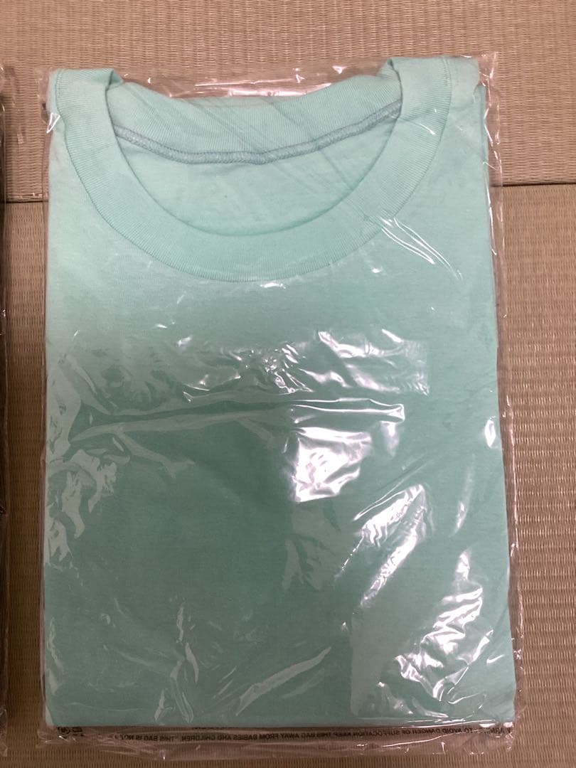 久米繊維 ビッグTシャツシャーベットグリーン フォレストグリーン フリーサイズ